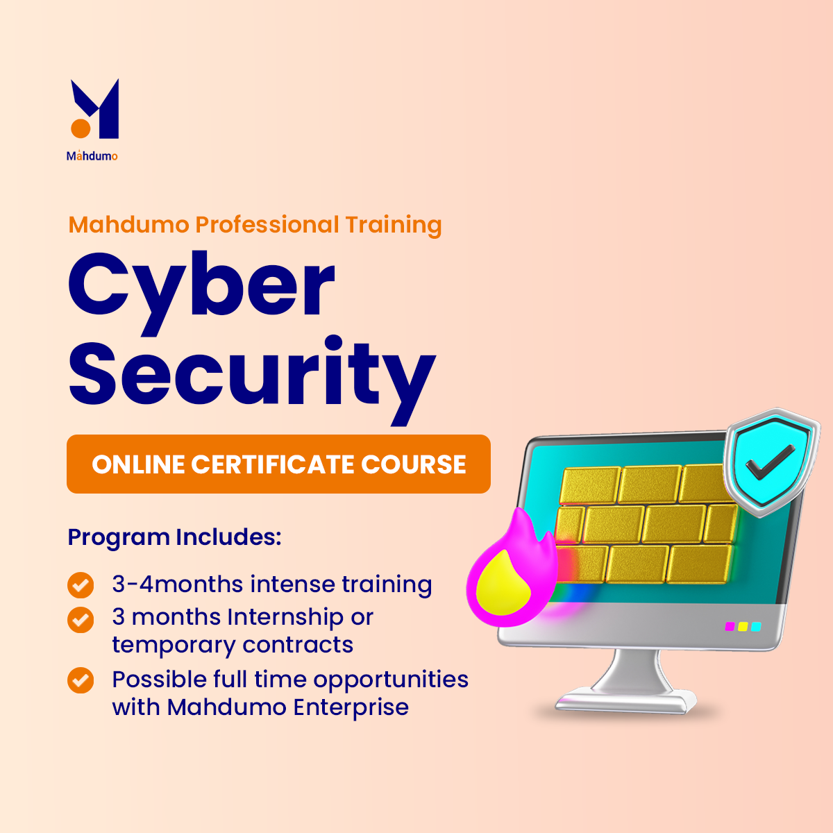 Cyber Security Professional